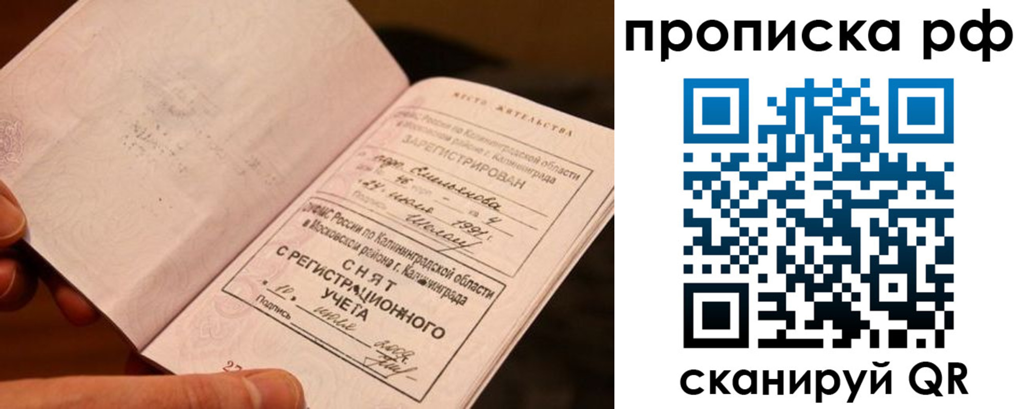 прописка гарантия в Сорске